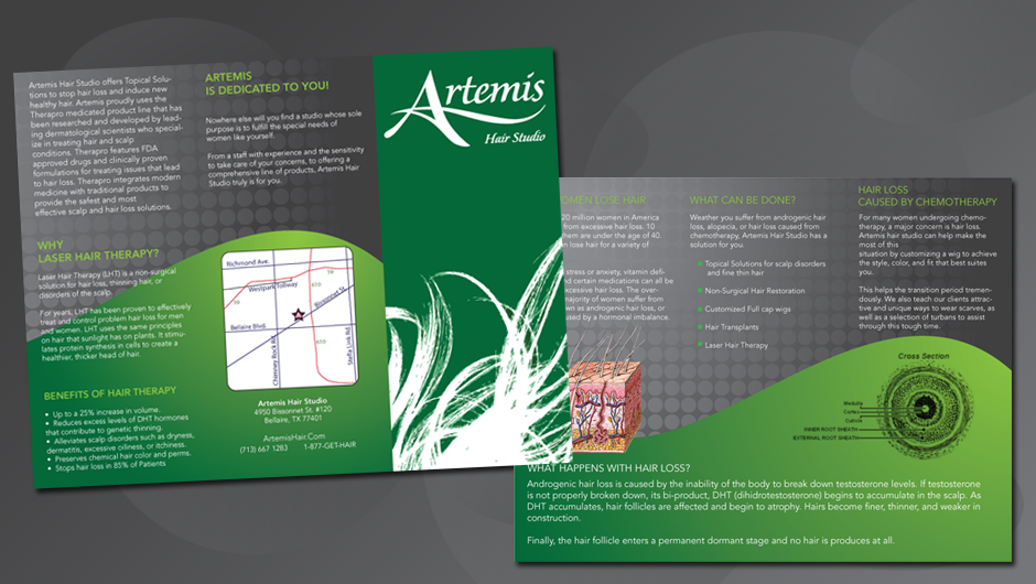 Apollo/ Artemis Hair Studios Brochure