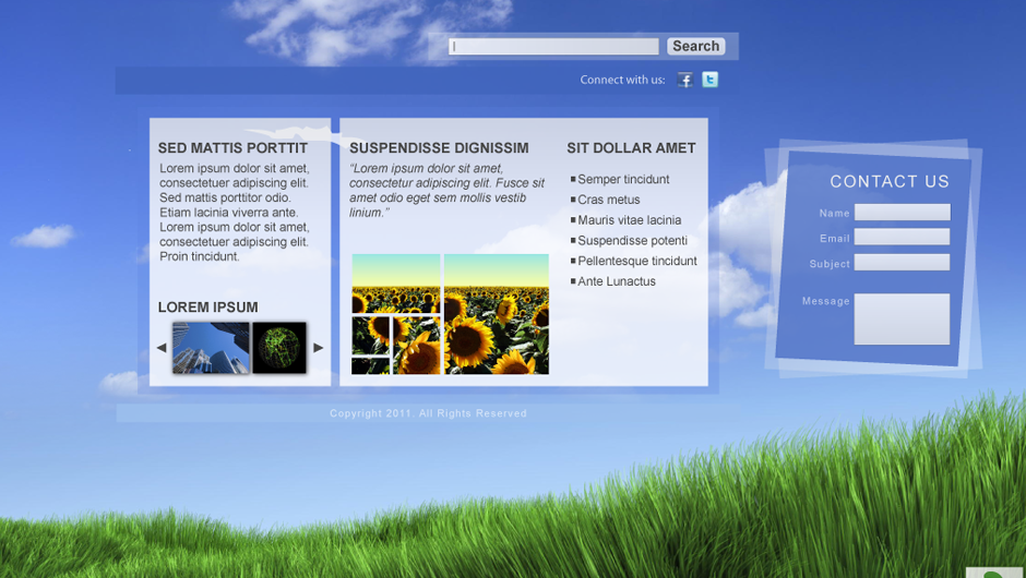 Certified Green Carpet & Tile Web Mockup